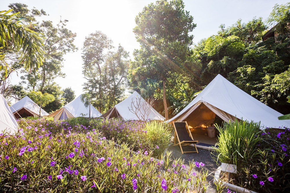 Roost Glamping 40/49