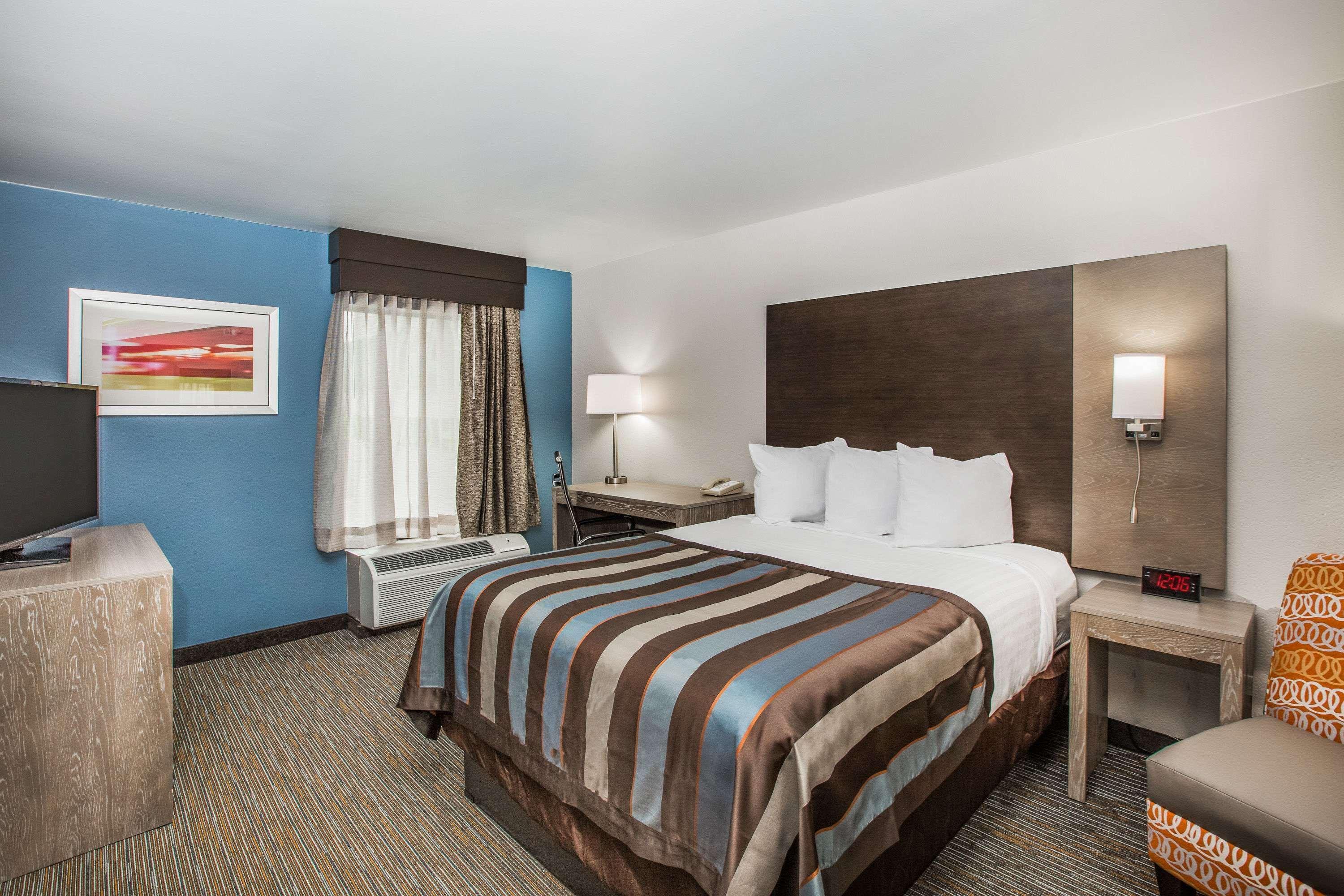 Room, King Bed