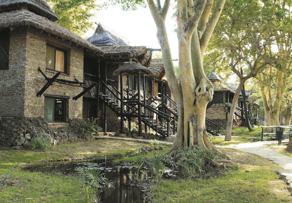 Sarova Shaba Game Lodge 9/63