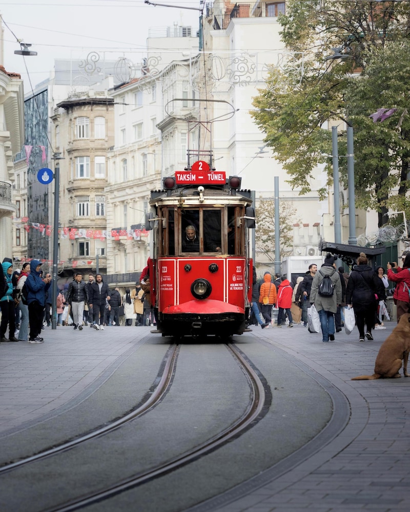 The Artisan Hotel Istanbul - MGallery Collection 55/62