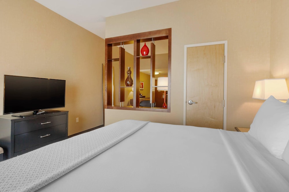 جناح بسرير كينج مع أريكة، Cambria Hotel Denver International Airport 4/7