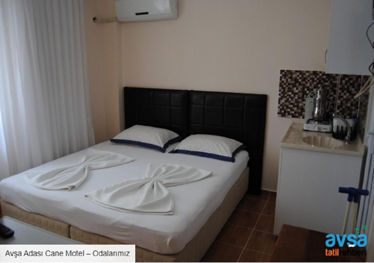 Room, Double or Twin Bed