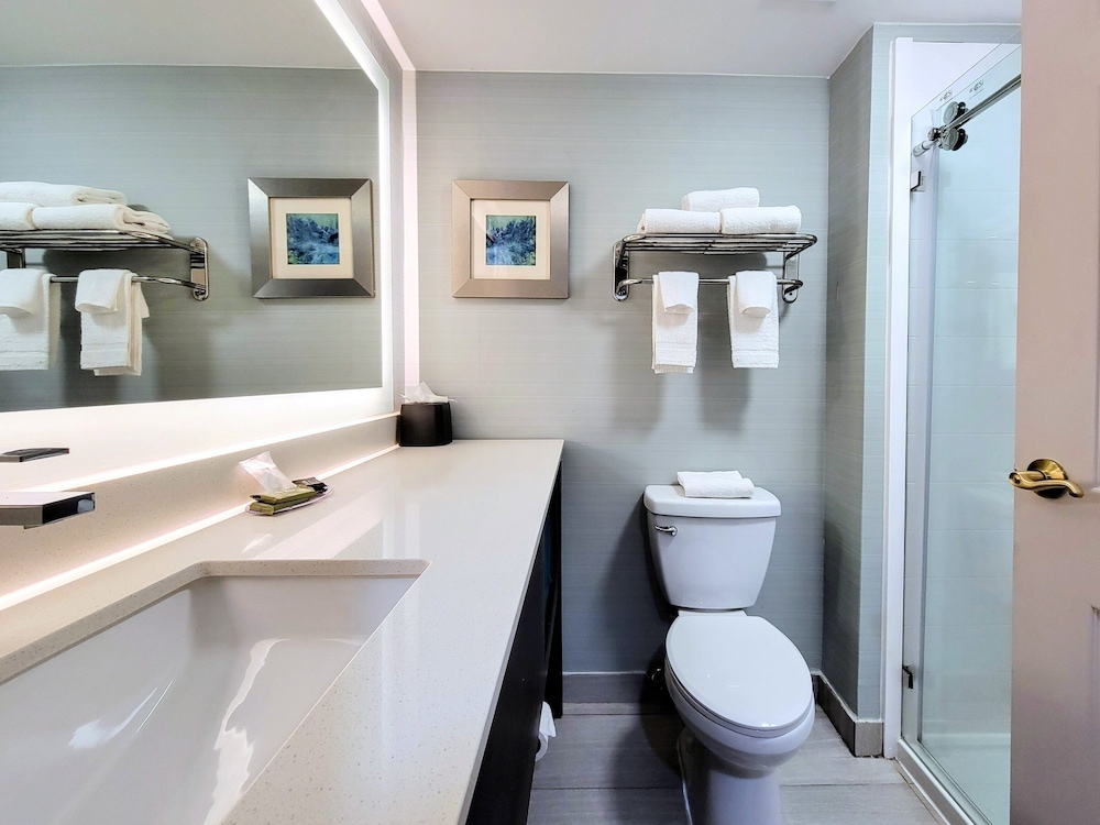 Suite, King Bed, Living and Dining Areas، Holliday Inn Belcamp Aberdeen Area Ex Wingate By Wyndham Aberdeen Edgewood 7/10