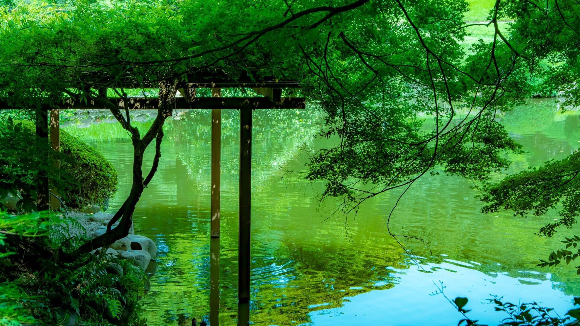 Ryokan Ichinao 29/35