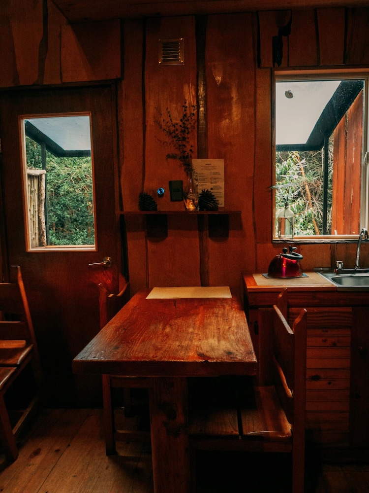 Cabanas Anulen Bosque Nativo 31/49