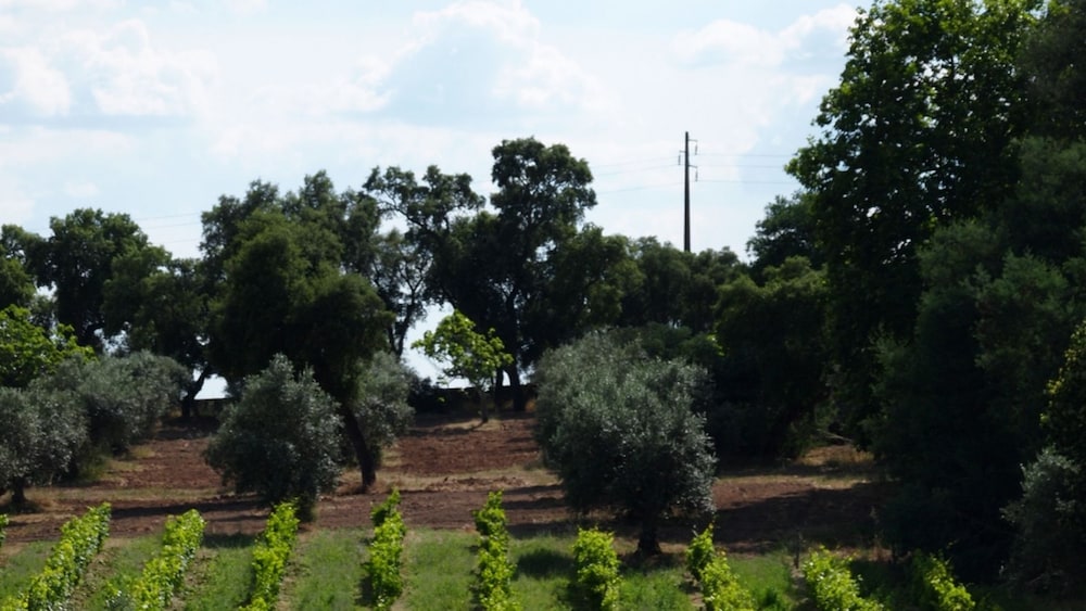 Quinta dos Ribeiros 58/68