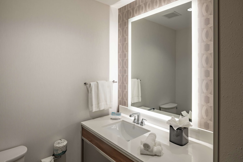 Hilton Garden Inn Dallas At Hurst Conference Center 18/53