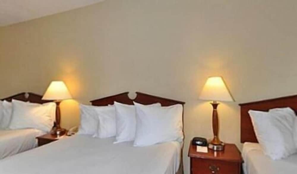 Gold Leaf Hotel of Dewey-Rehoboth Beach 31/47