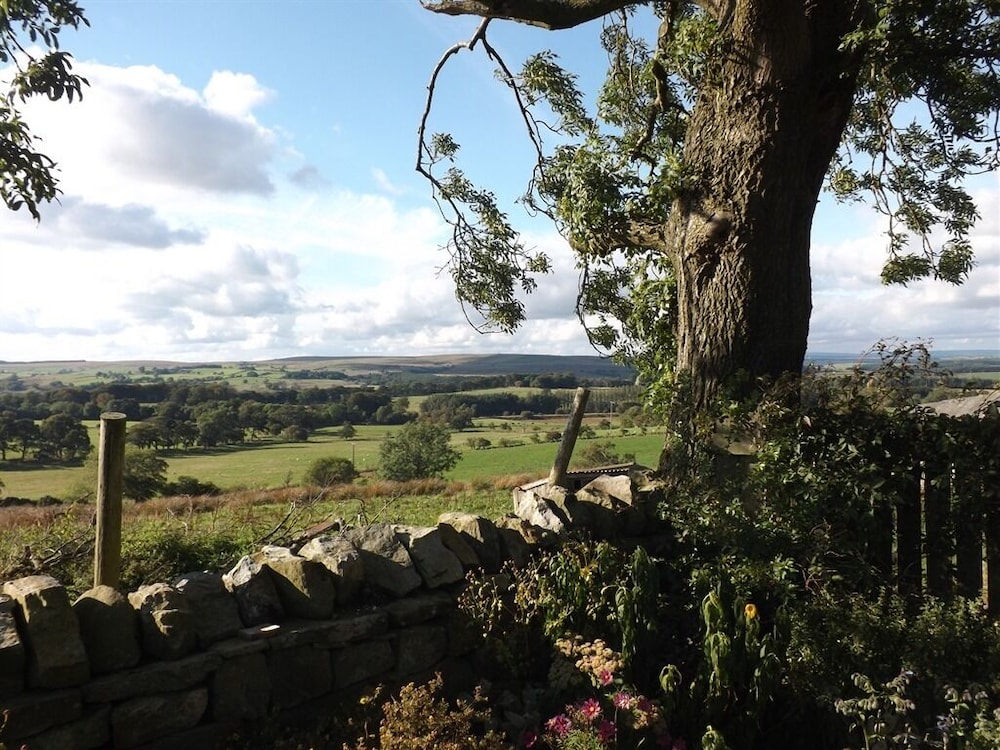 Hillis Close Farm 13/18