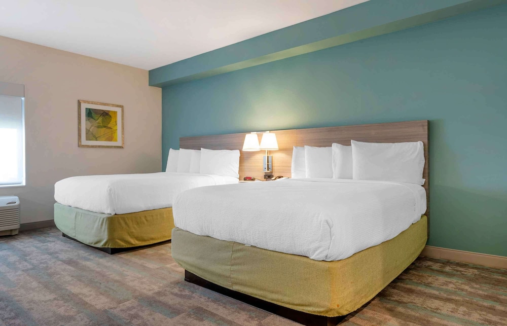 SUPERIOR, STUDIO, MULTIPLE BEDS