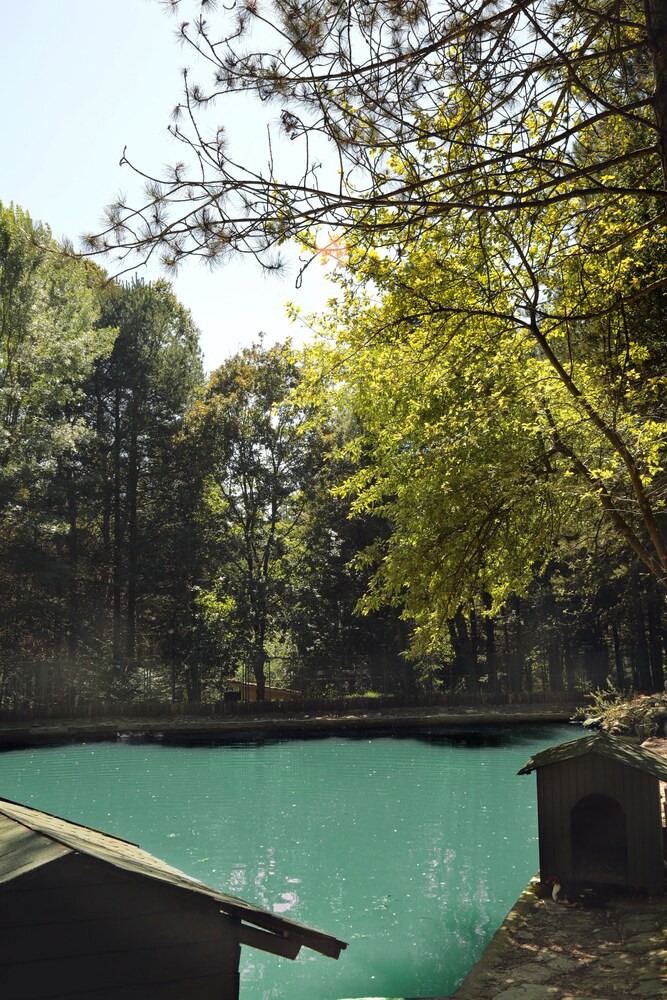 Bolu Koru Hotels Spa Convention 63/65
