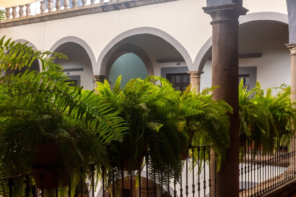 Hotel Hidalgo 41/48