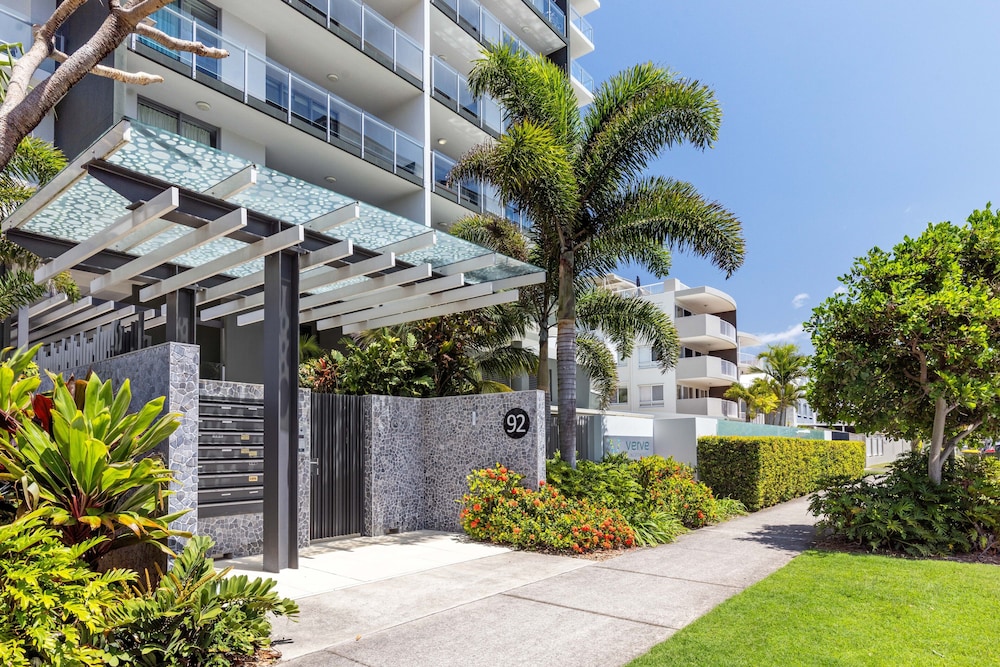 Verve On Cotton Tree 37/50