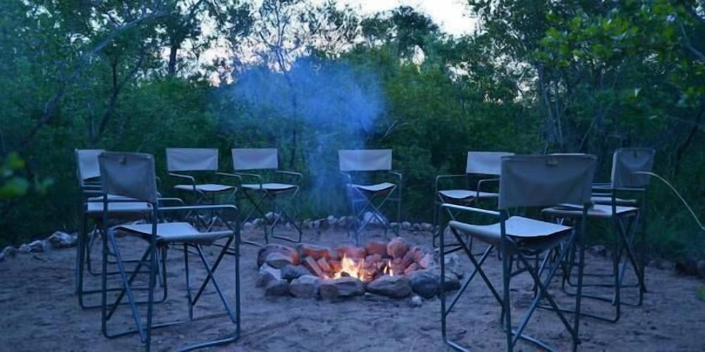 Wild Olive Tree Camp 7/20