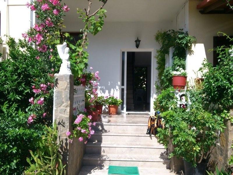 Pigi Pension 19/19