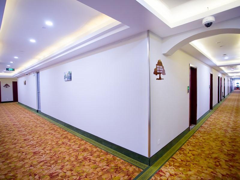 GreenTree Inn Shanghai JinShan Wanda Plaza Longxiang Road Express Hotel 12/64