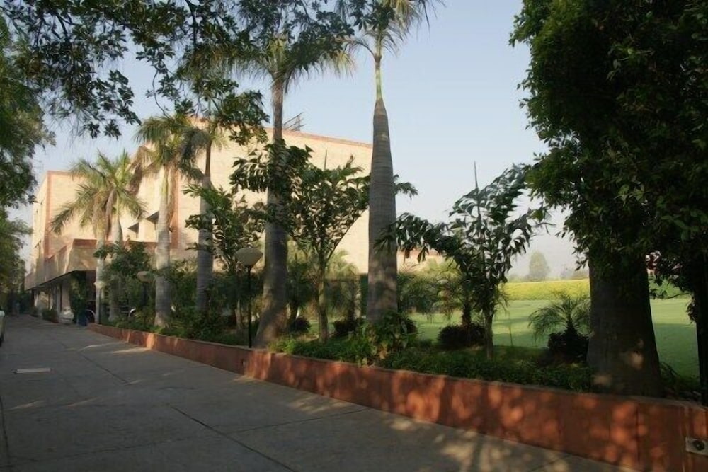 THE RADHA ASHOK 44/50