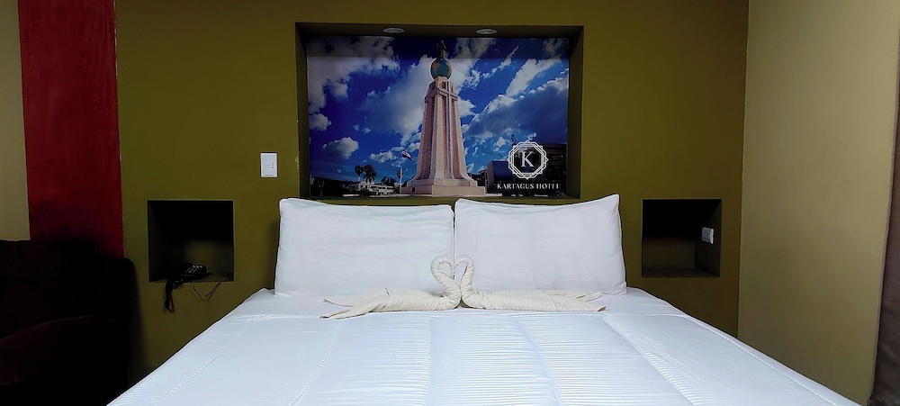 Kartagus酒店精品(Kartagus Hotel Boutique) 图片4