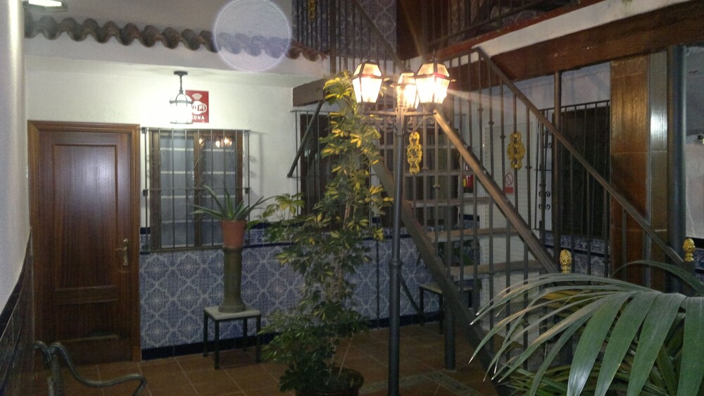 Nova Centro 28/30