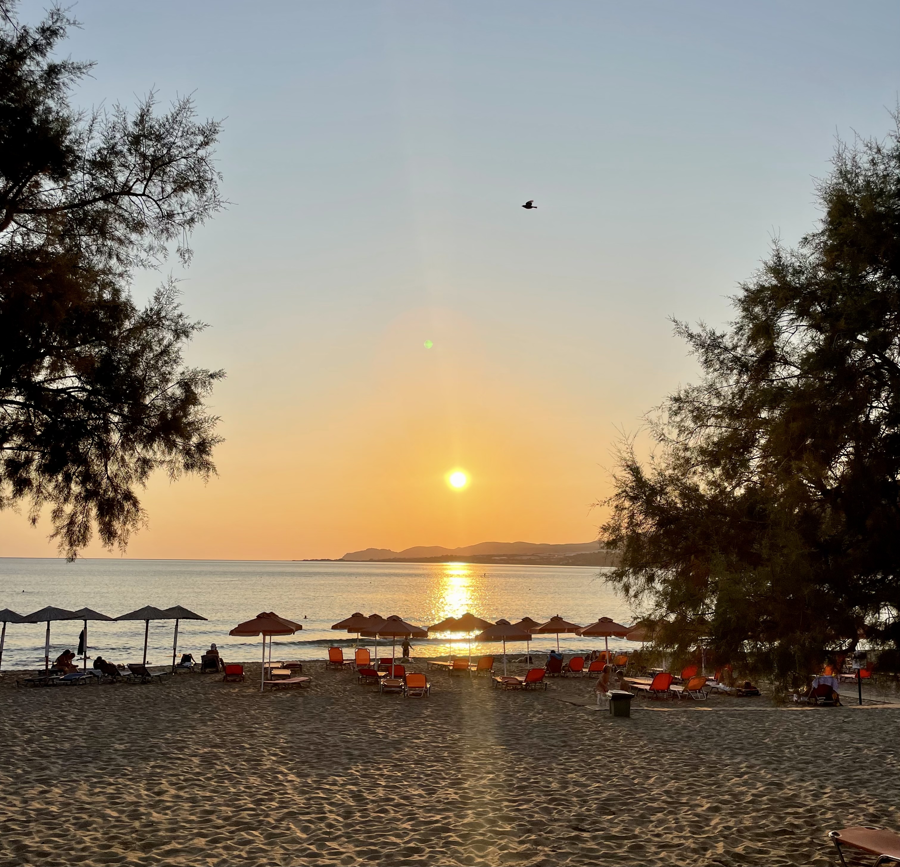 Pal Beach Hotel 43/50