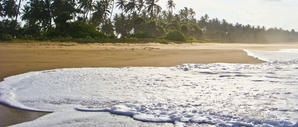 Taj Tangalle Boutique Hotel 26/35