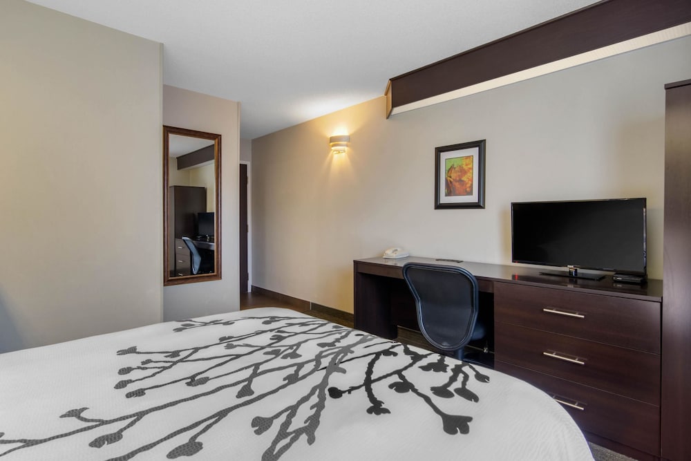 Sleep Inn Sault Ste. Marie 20/41