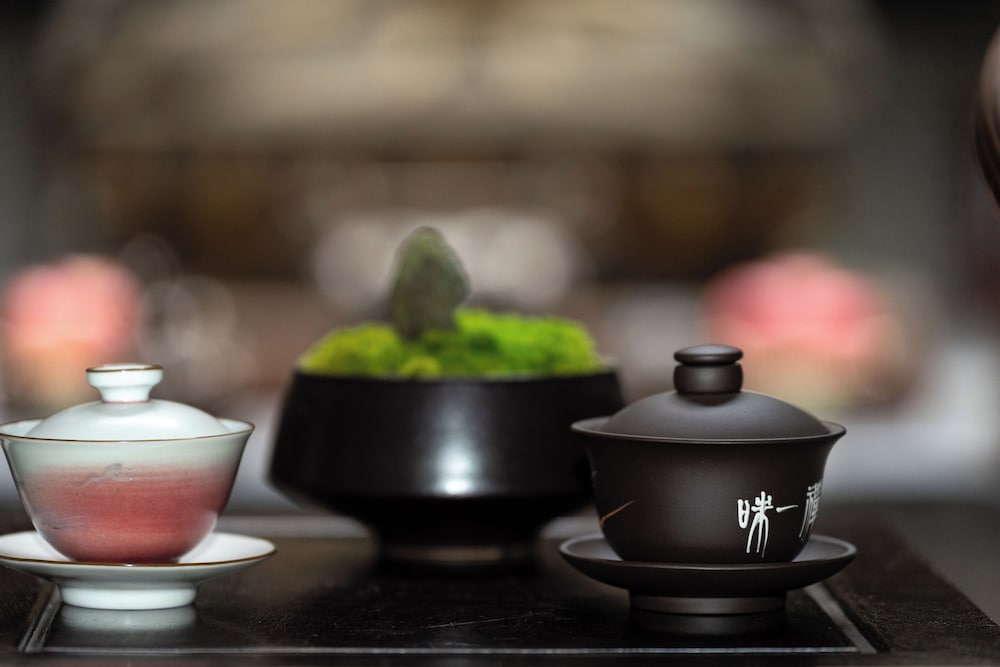 Chengdu Buddhazen Hotel 25/50