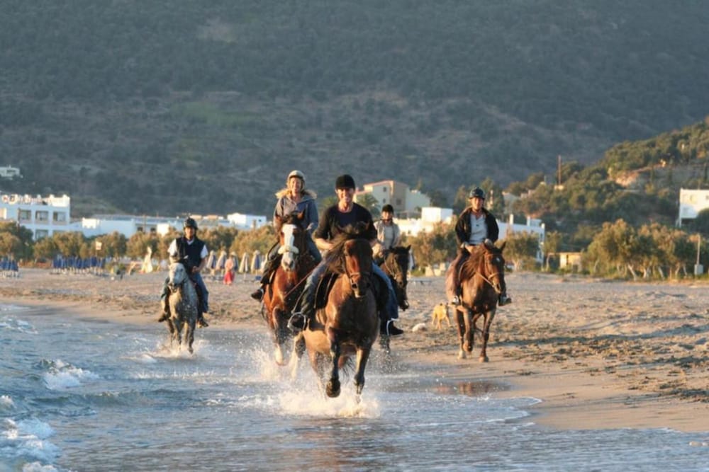 Alianthos Beach Hotel 51/61