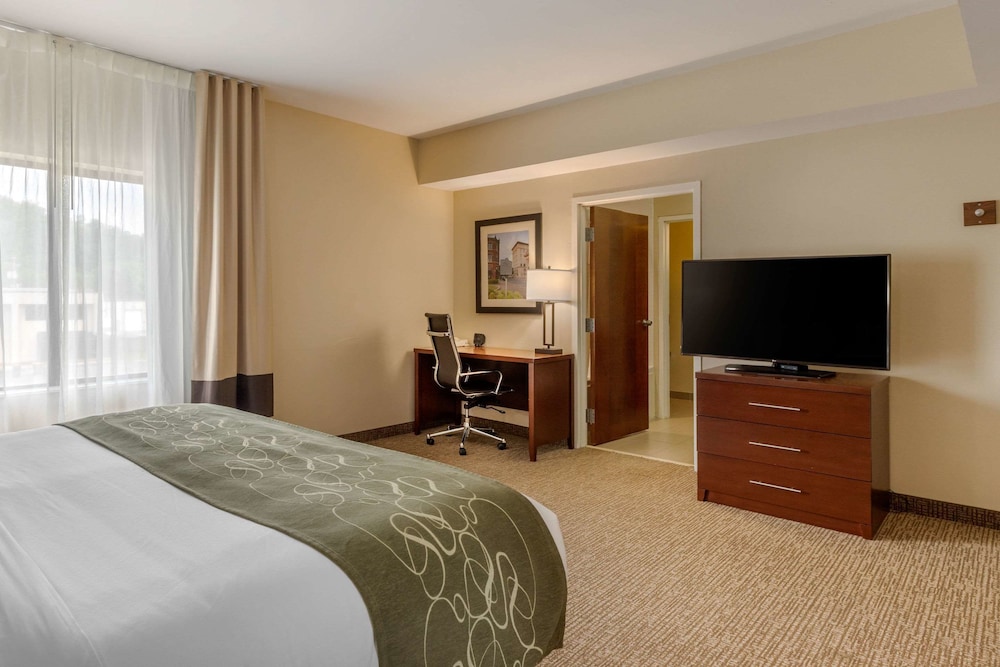 Comfort Suites Johnson City Near University 7/36