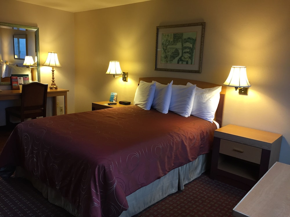 Standard, King Bed, Harbour View