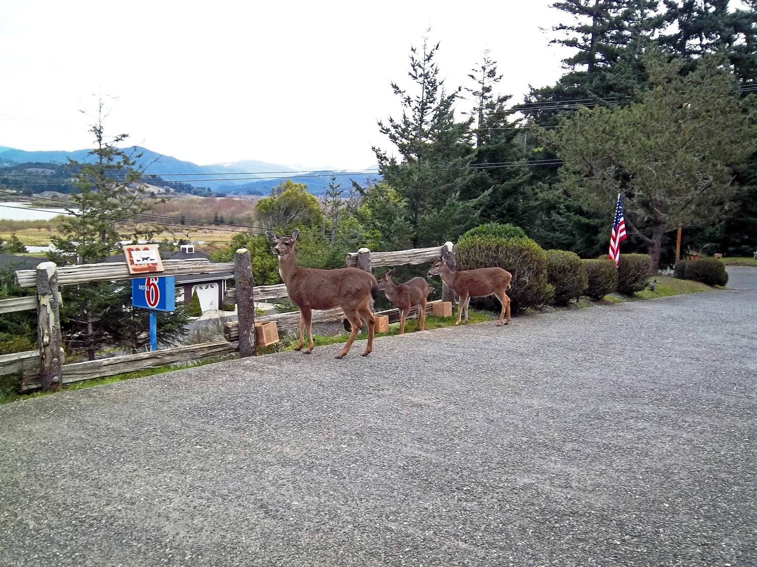 Motel6 Gold Beach, OR 11/20