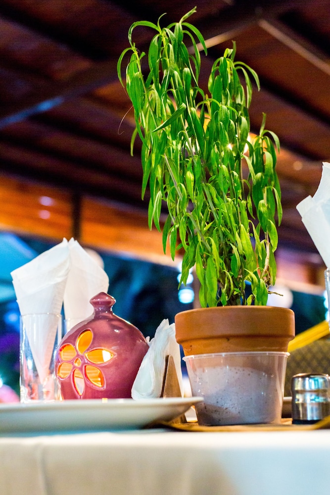 Fitos Inn Guest House 写真4