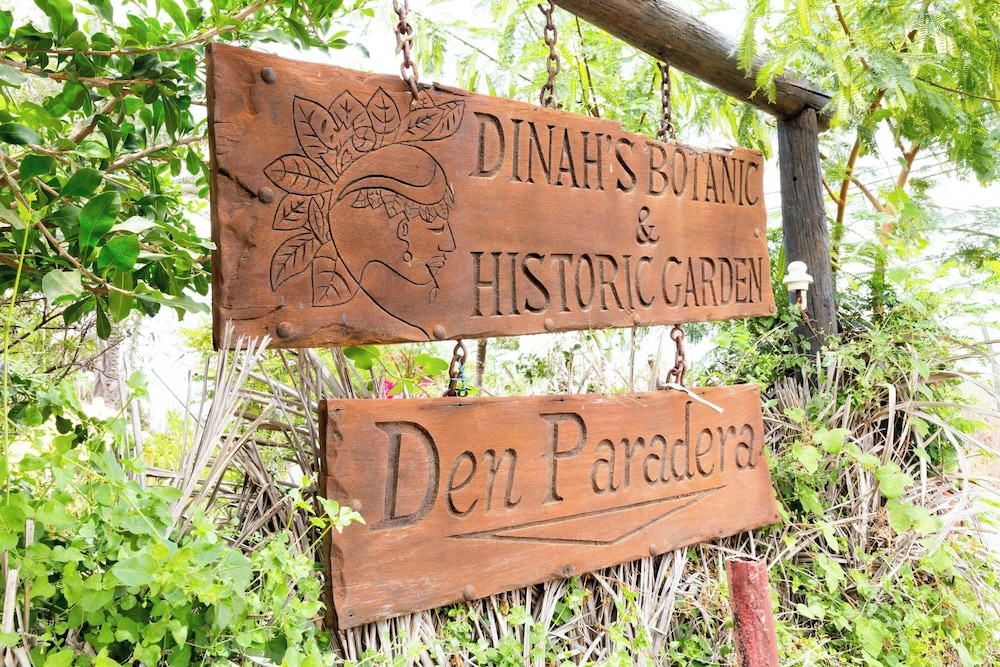 The Pyrmont Curacao, an Autograph Collection All Inclusive Resort Adults Only 1/49