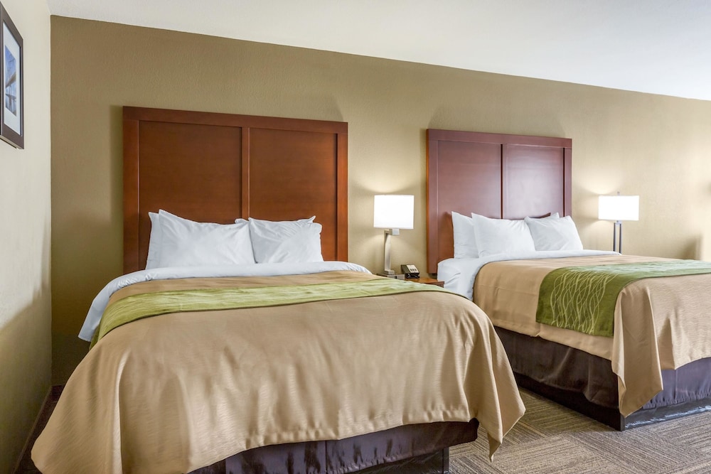 Comfort Inn Collinsville near St. Louis 11/46