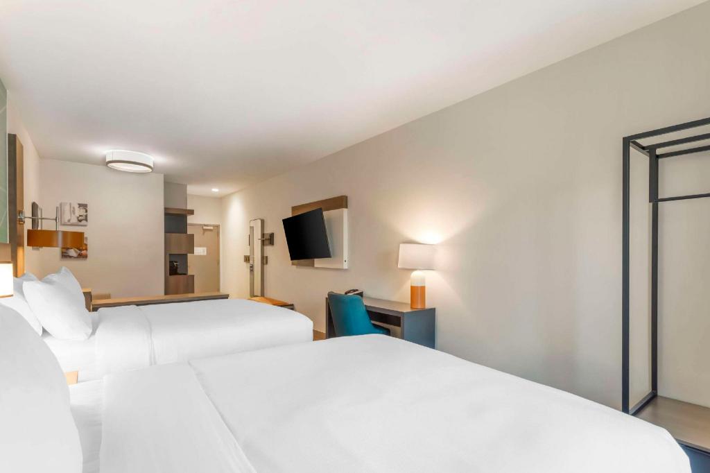 Room, Single, 2 Queen Beds, Sofa