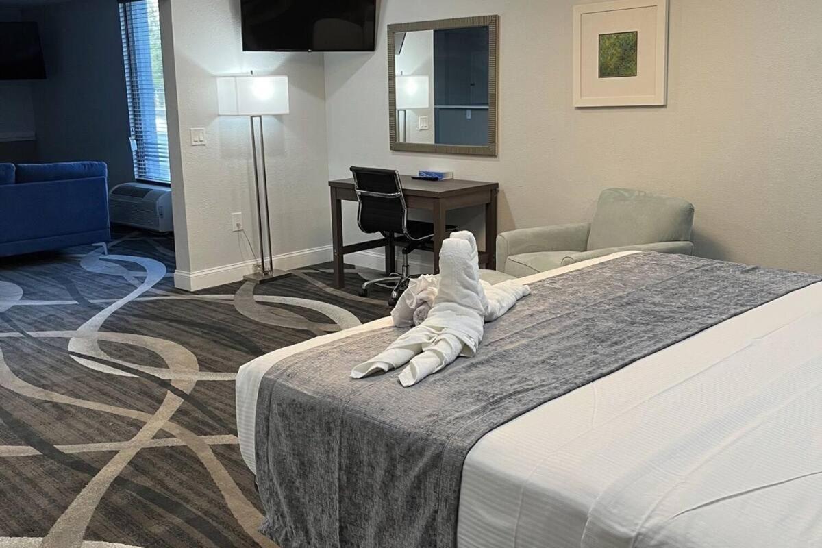 Suite, Pool View