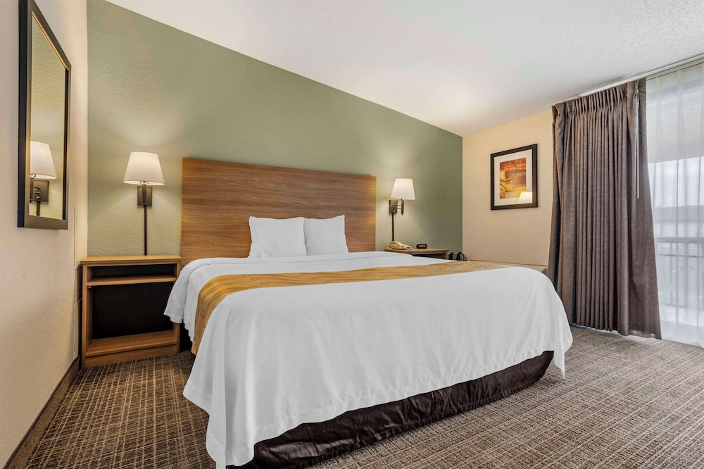 Quality Inn & Suites NRG Park - Medical Center 27/61