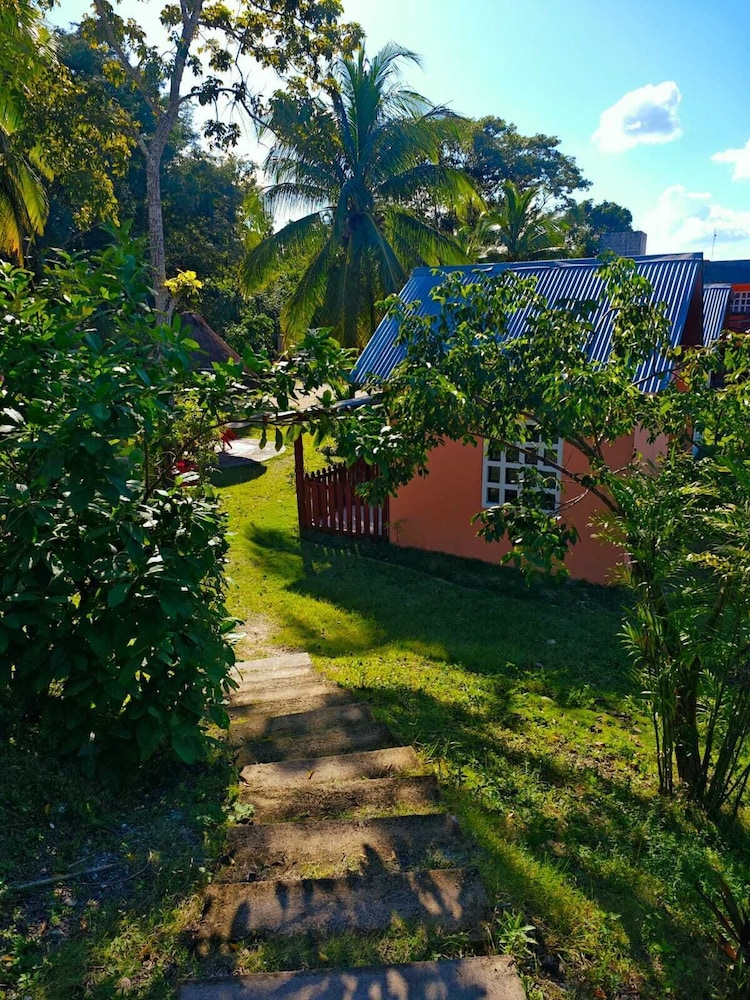 Mirador Maya 22/33