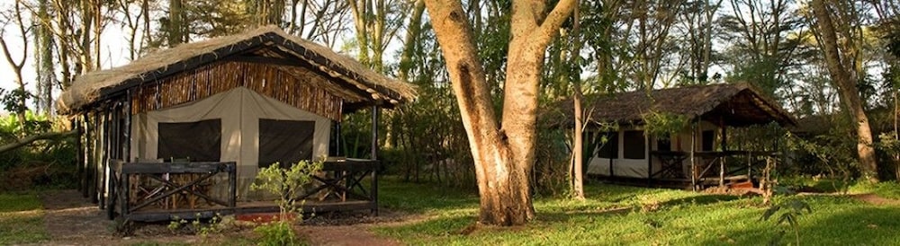 MIGUNGA TENTED CAMP 46/47
