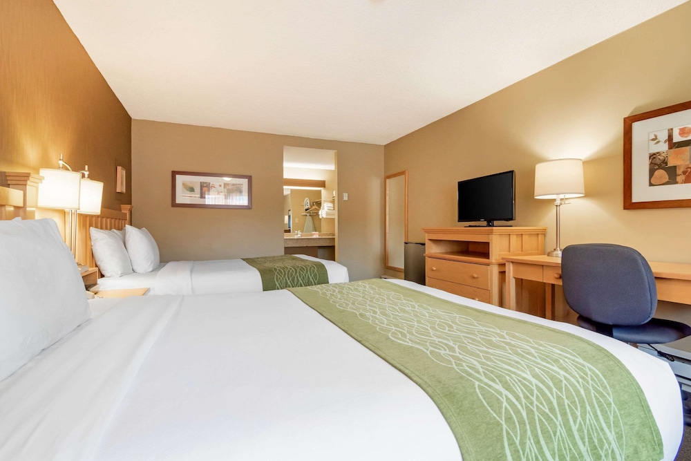 Econo Lodge Inn & Suites North Vancouver 21/52