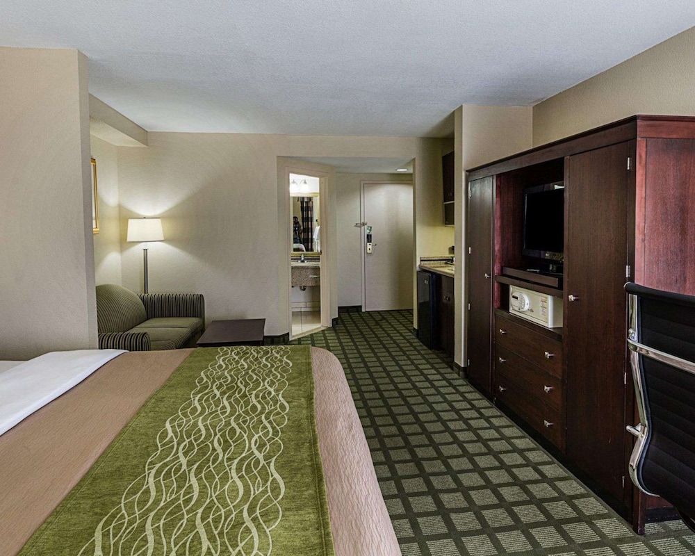 Comfort Inn Southwest Fwy at Westpark 13/47