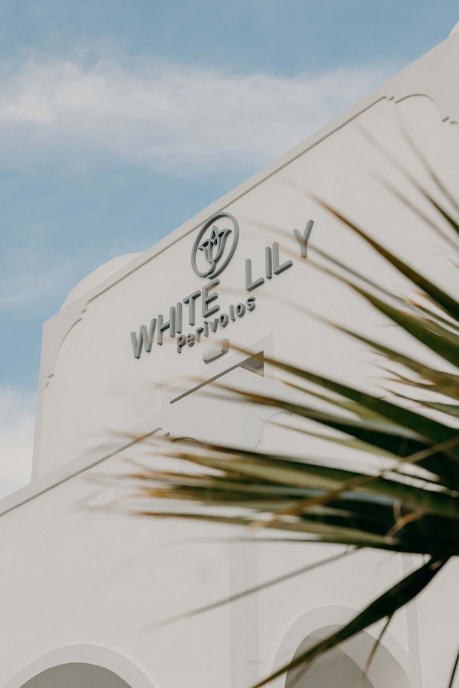 White Lily 12/50
