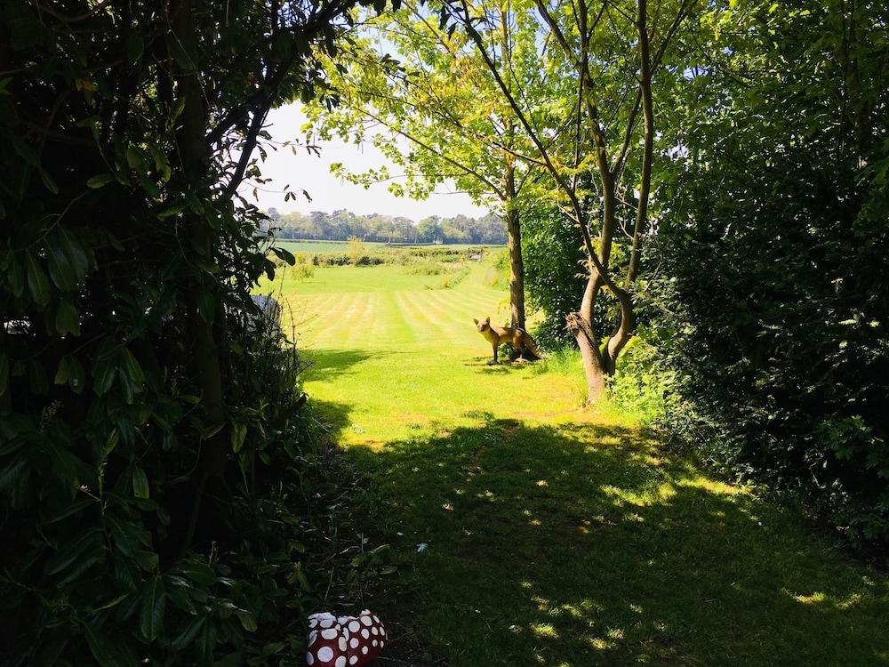 Wolds Village 36/49