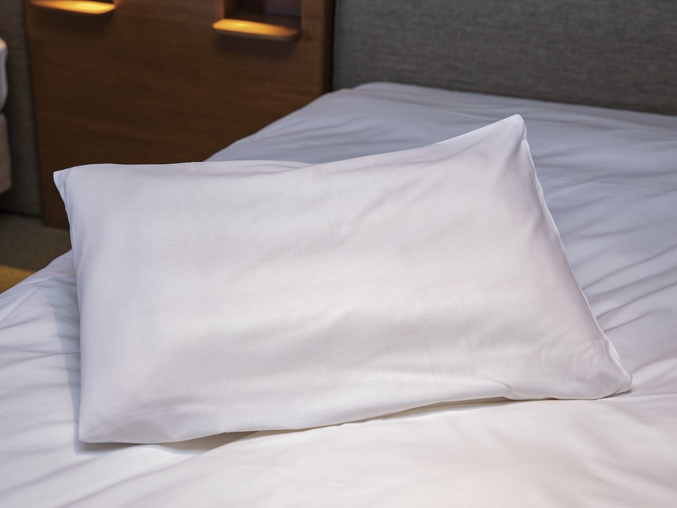 Hotel Jal City Haneda Tokyo 24/50