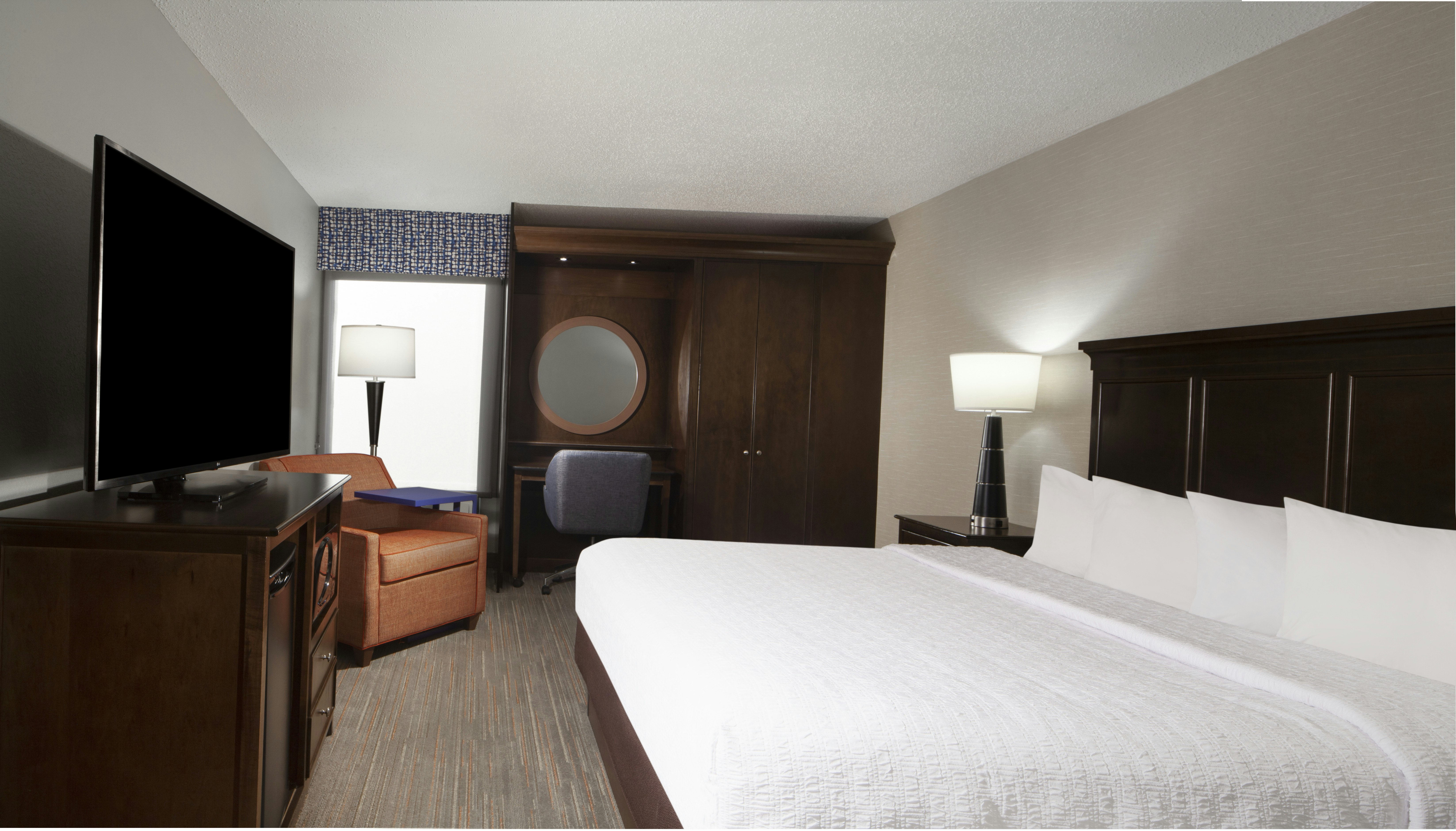 Room, King Bed