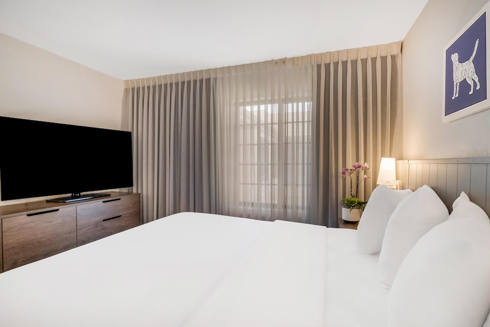 1 BEDROOM, SUITE, KING BED, SOFA