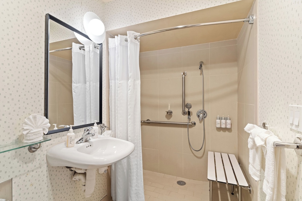 Standard, Single, King Bed, Accessible, Vagabond Inn Executive San Francisco Airport 4/4