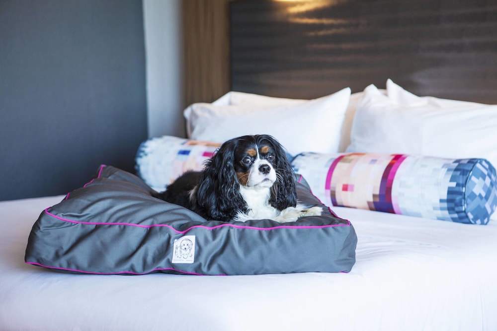 Aloft Miami Dadeland 12/26
