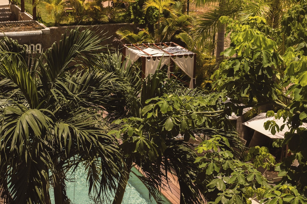 Hotel Casa Bocana 40/50