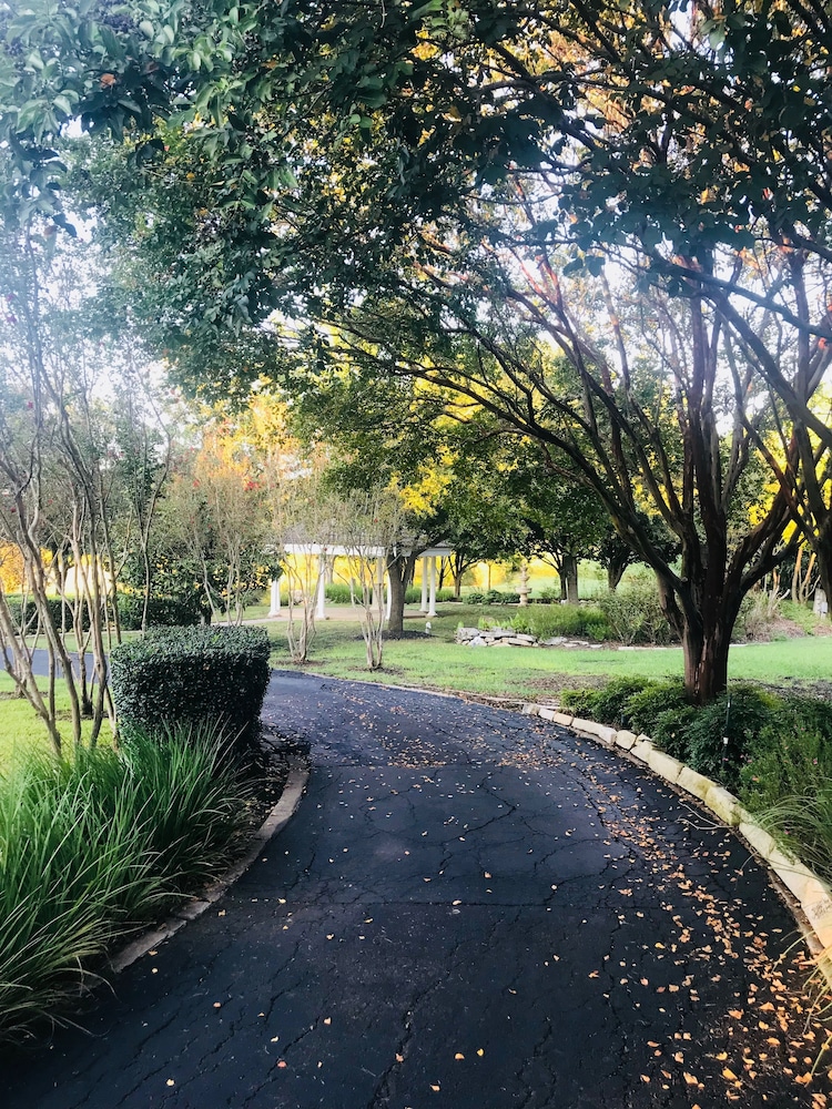 The Plantation House Boutique Inn 38/50
